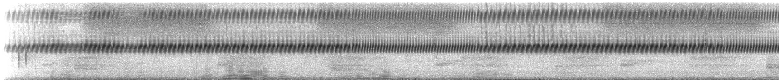 Carolina Ground Cricket - ML651801970