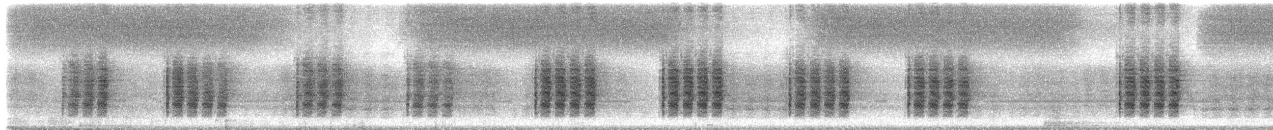 Common True Katydid - ML651801974