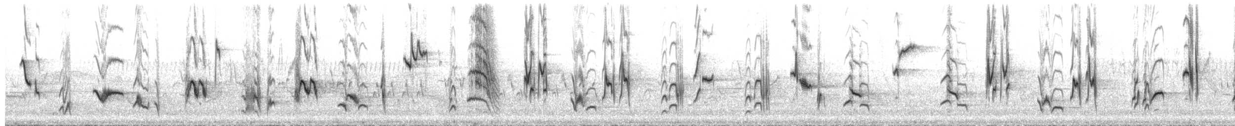 ネコマネドリ - ML651802101