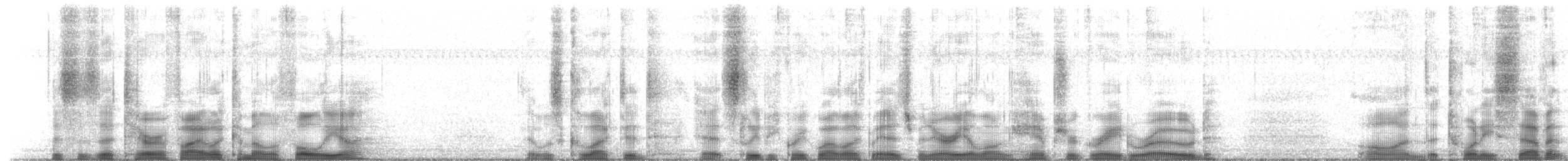 Common True Katydid - ML651803751