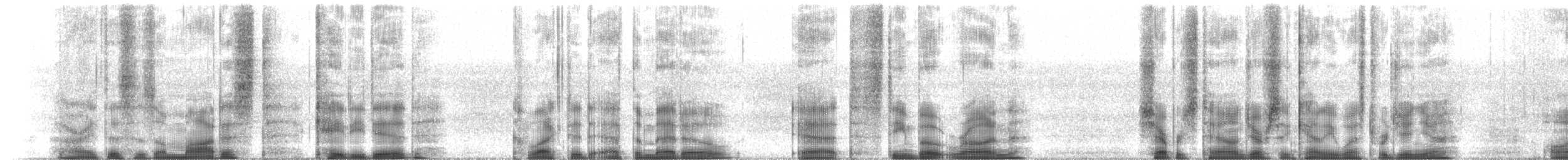 Modest Katydid - ML651804313