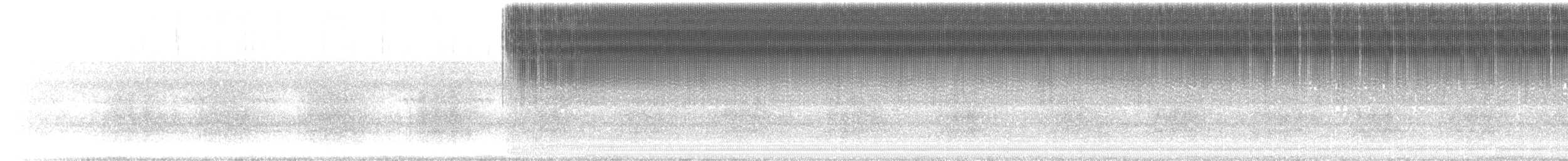 False Robust Conehead - ML651805338