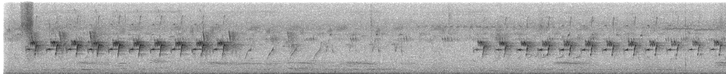 Ashy Prinia - ML651806425