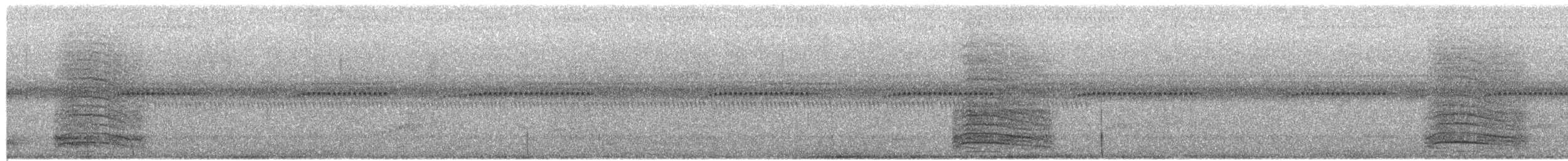 ネコマネドリ - ML651807084