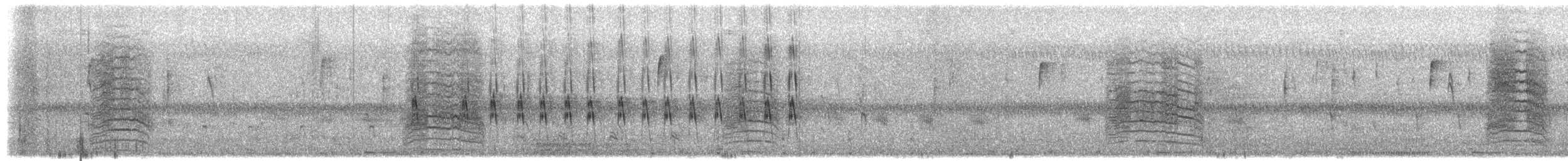 ネコマネドリ - ML651819425