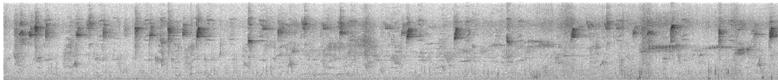 Wedge-tailed Sabrewing (Curve-winged) - ML651820009