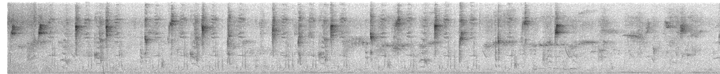 Wedge-tailed Sabrewing (Curve-winged) - ML651820010