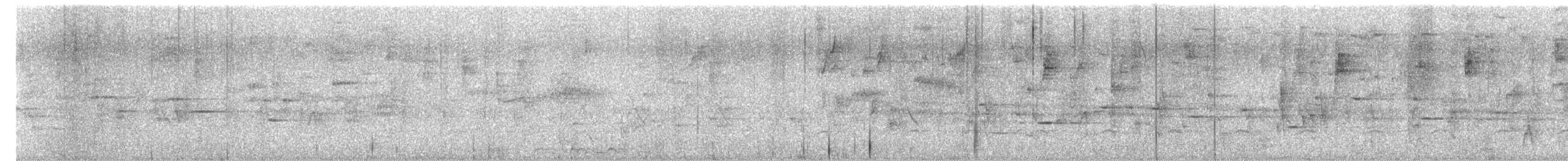 Wedge-tailed Sabrewing (Curve-winged) - ML651820012