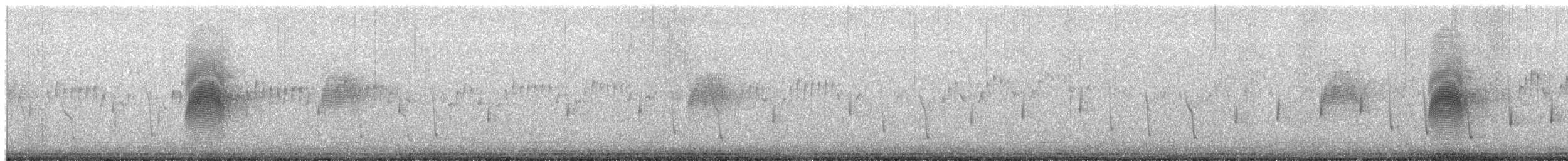 American Woodcock - ML651822759