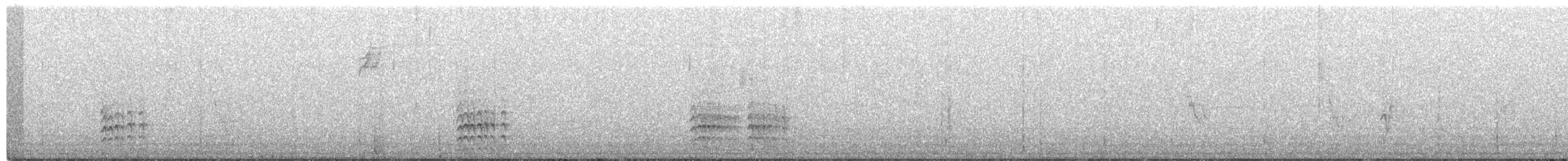 White-breasted Nuthatch (Interior West) - ML651830285