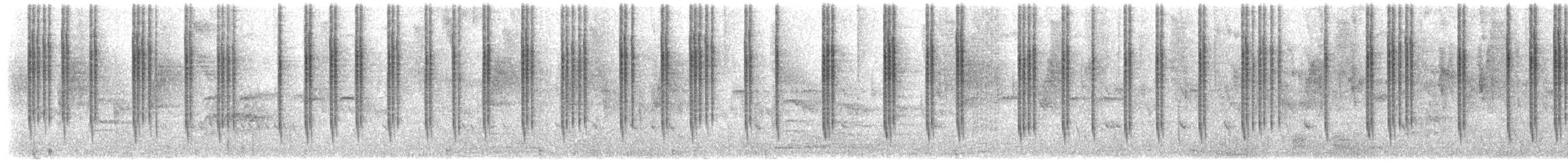Колібрі плямистоволий - ML651830377