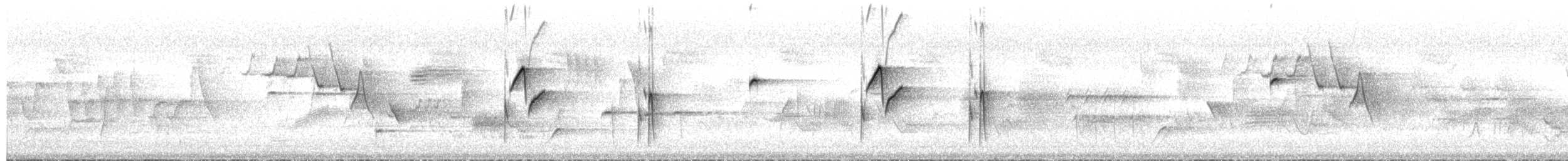 Western Flycatcher (Pacific-slope) - ML651835569