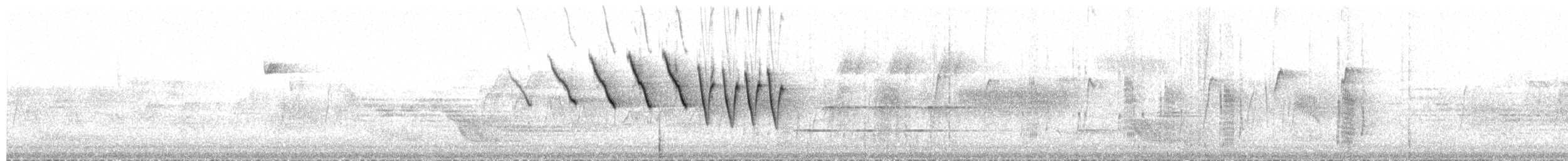 Nashville Warbler - ML651836800