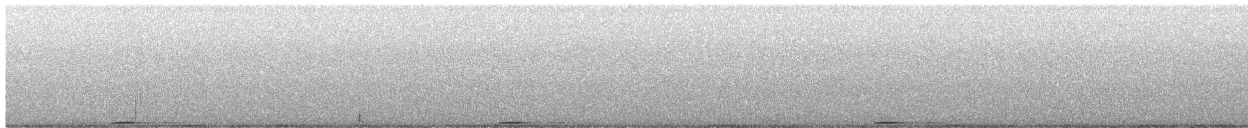 Flammulated Owl - ML651842367