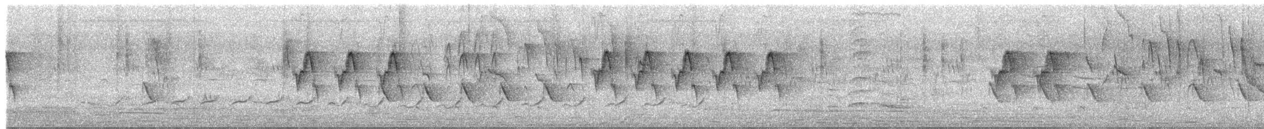 Ashy Prinia - ML651842659