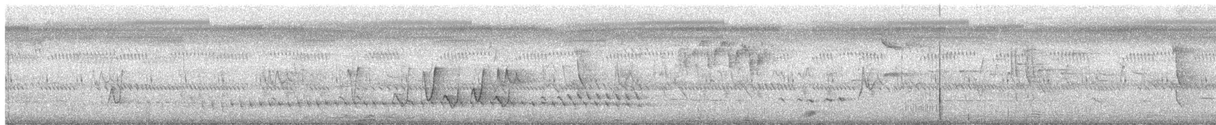 Schlichtmantel-Dickkopf - ML651842672