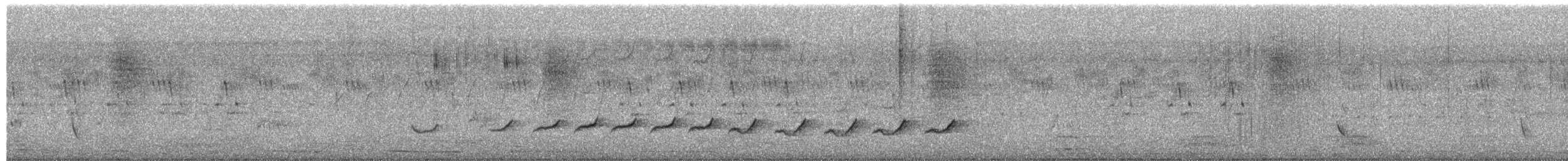 Common Woodshrike - ML651842680
