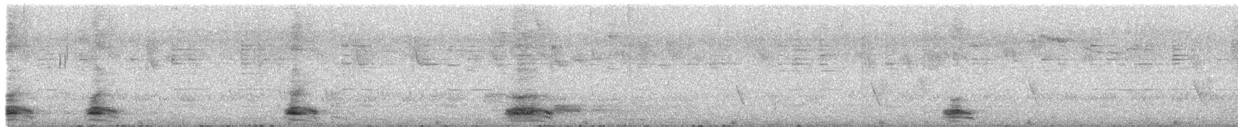 vrána tlustozobá - ML651842901