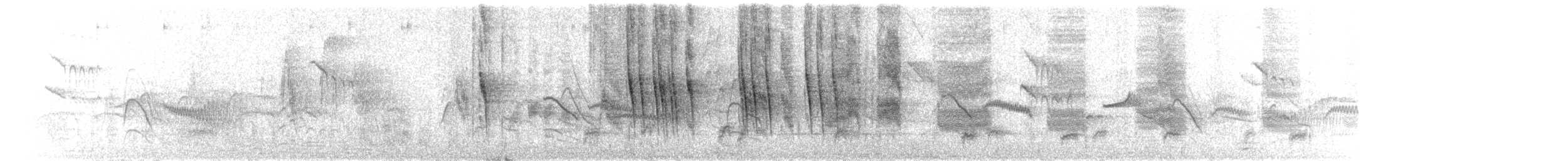 Steere Gevezeardıcı - ML651847767