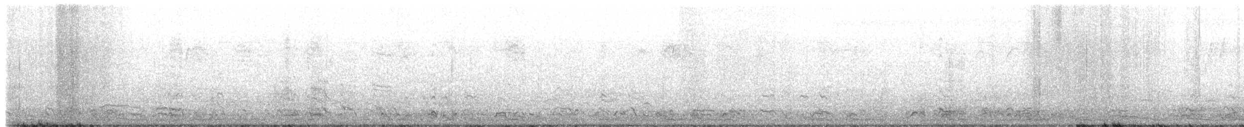 Canvasback - ML651849948