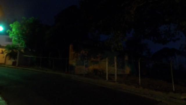 White-tailed Nightjar - ML651866847