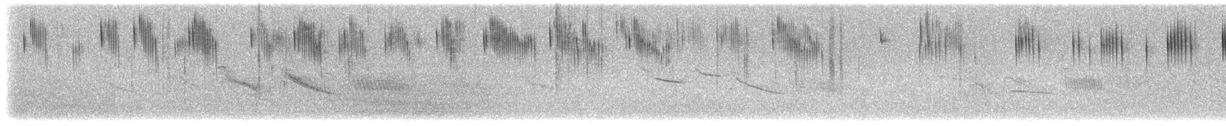 Colibri d'Arica - ML651868341