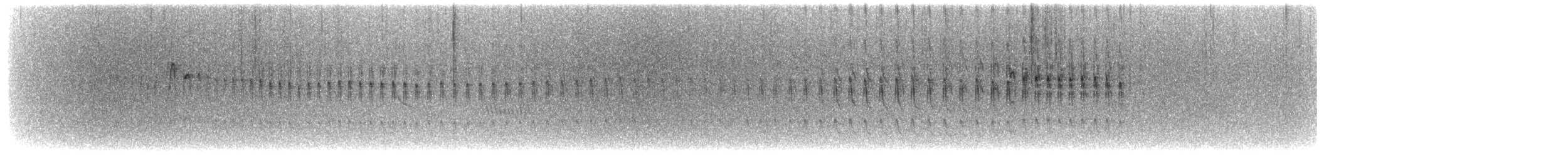Taurillon roitelet - ML651868476