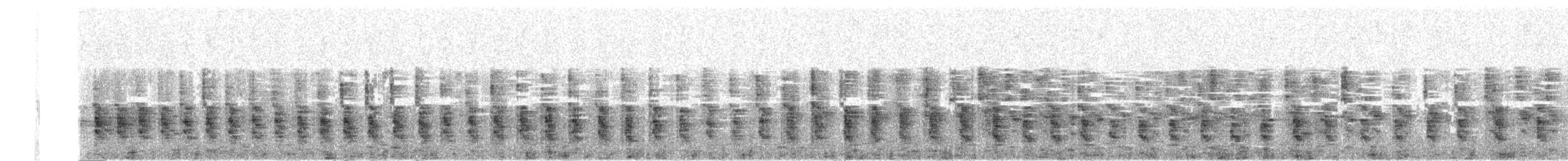 marskrikse (longirostris gr.) - ML651878523