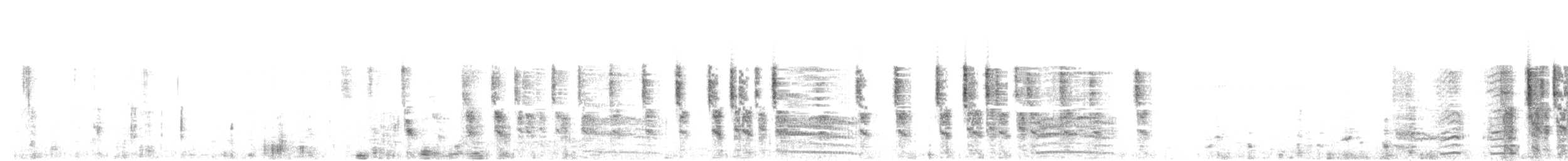 marskrikse (longirostris gr.) - ML651878524