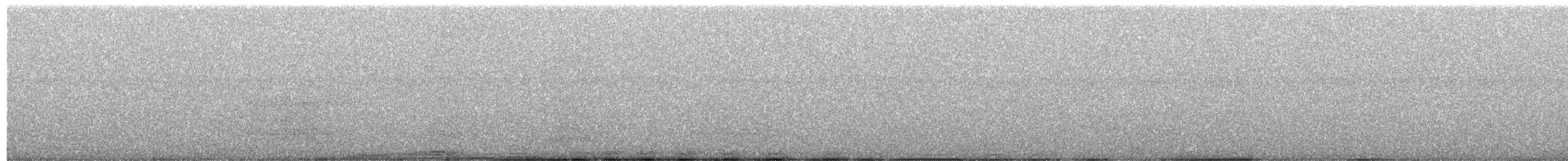 Hipopótamo - ML651888896