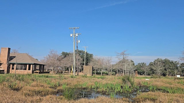Couch's Kingbird - ML651898914