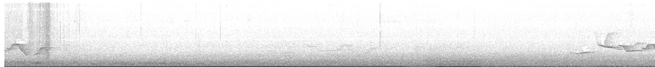 Benekli Göğüslü Çıtkuşu - ML65190751