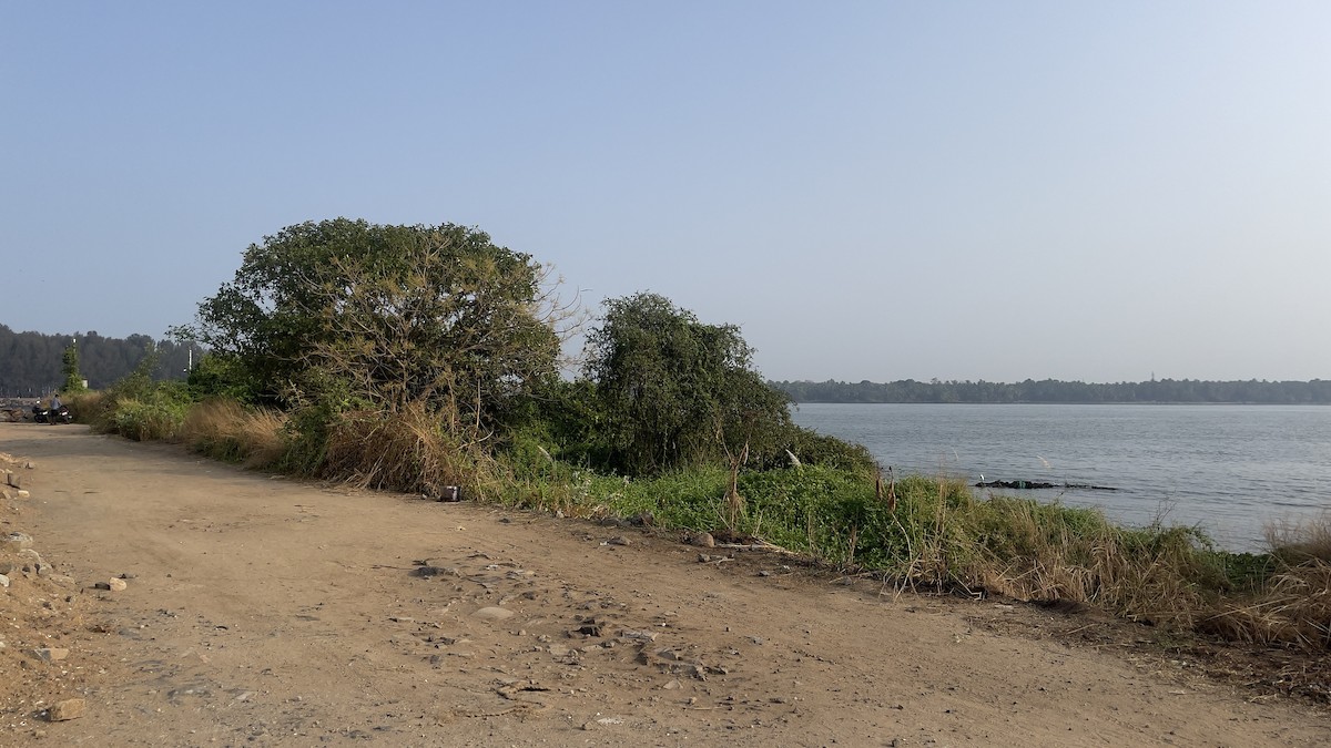 null - ML651909509