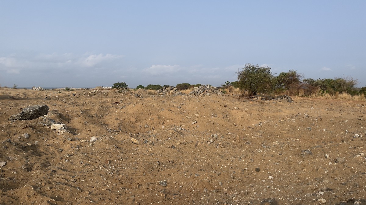null - ML651909511