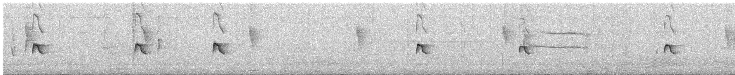 Black-and-white Mannikin - ML651911042