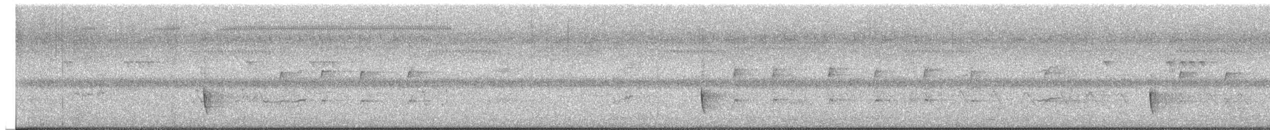 medosavka ostrohlasá - ML651912695