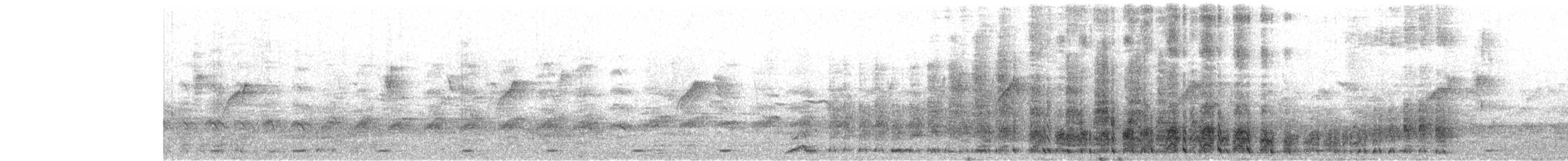 Spotted Owlet - ML651922040