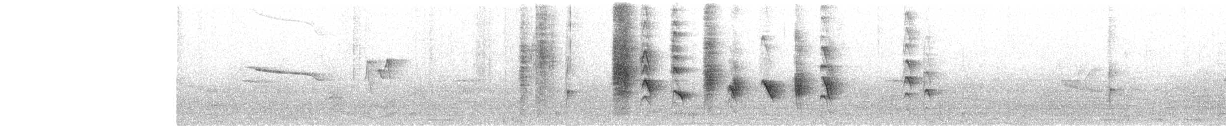 Ashy Drongo - ML651922378