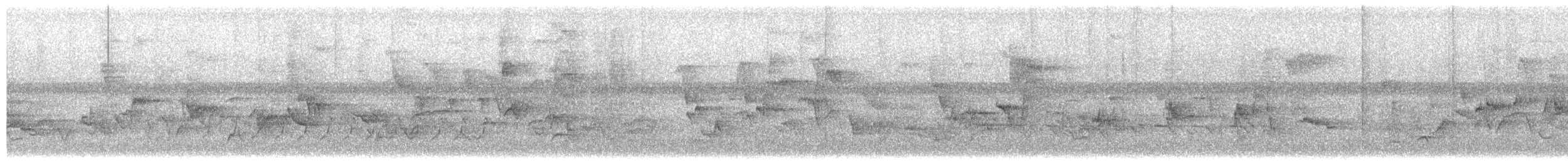 ネコマネドリ - ML651923064