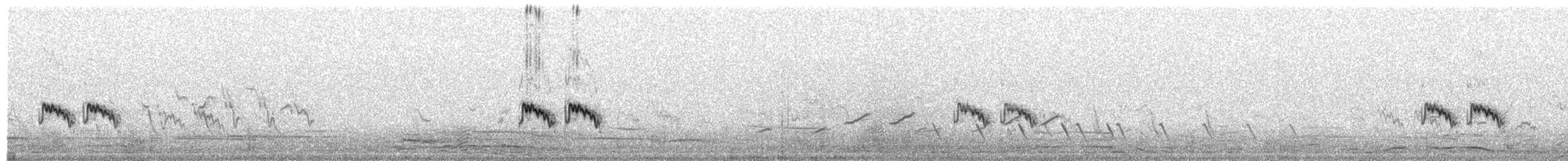 Short-tailed Lark - ML651925544
