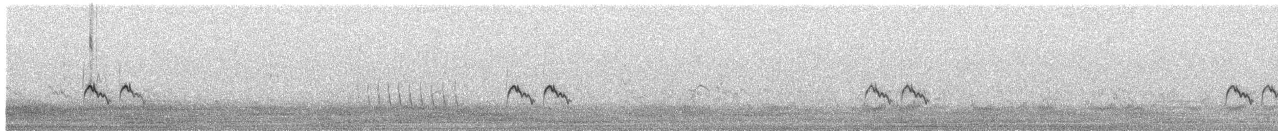 Short-tailed Lark - ML651925545