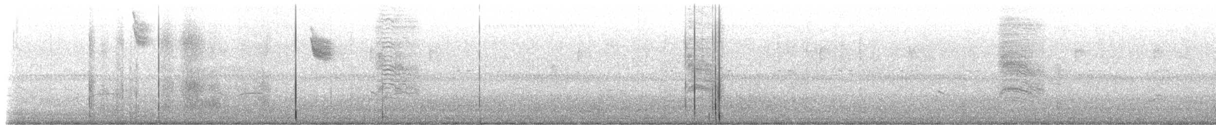 ネコマネドリ - ML651930870