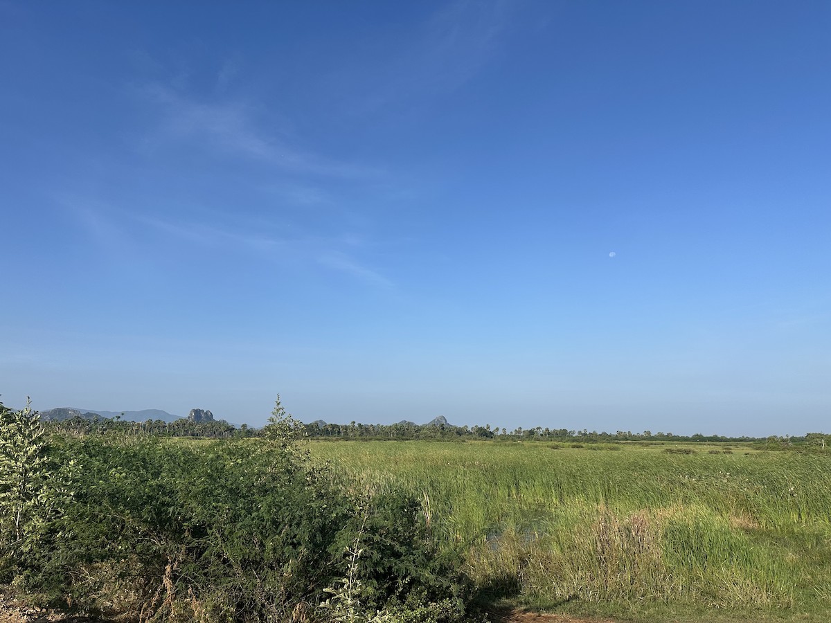 null - ML651940025