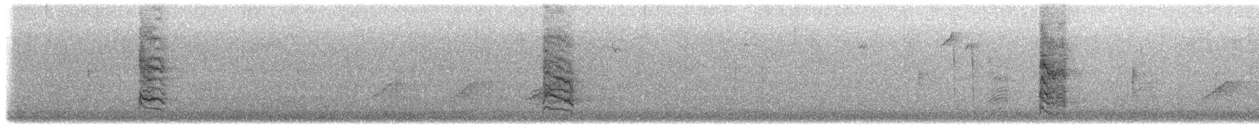 ネコマネドリ - ML651946712