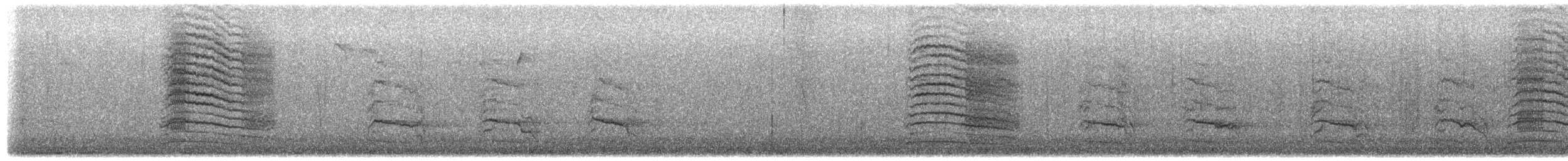 ネコマネドリ - ML651954972