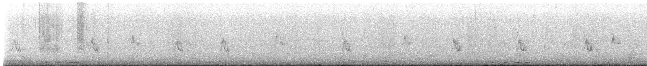 pygmérørdrum - ML651955751