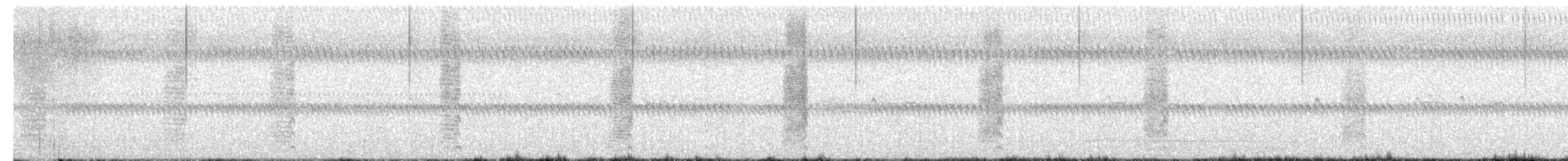 アメリカタシギ - ML651968656