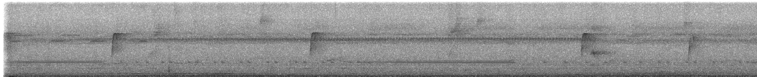 חטפית ירקרקה - ML651968754