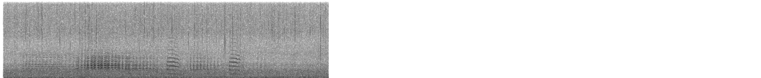 ジェンツーペンギン - ML651976012