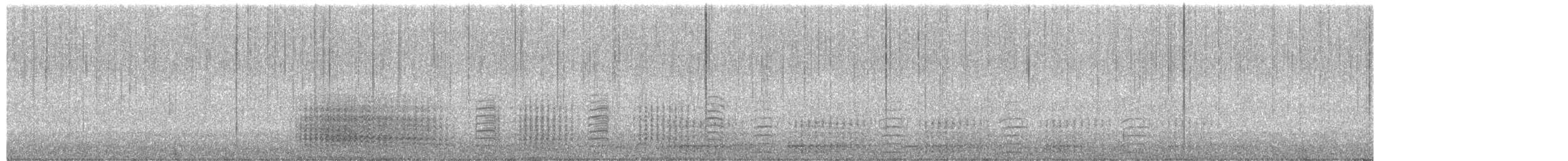 ジェンツーペンギン - ML651976014